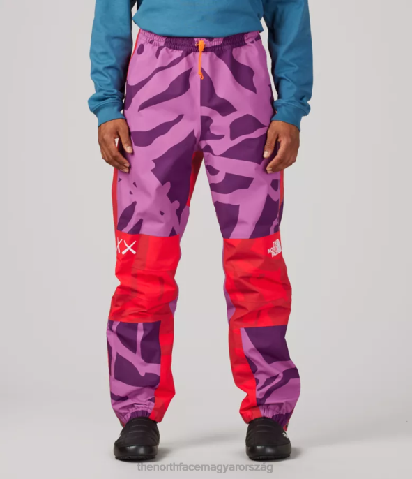 The North Face ruházat J2LJ607 kw pamplona purple mtn light print egynemű tnf x kaws hegyi könnyű nadrág
