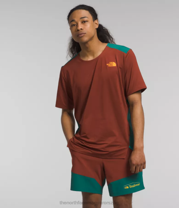 The North Face ruházat J2LJ883 pálinkás barna/erdei páfrány férfiak trailwear elveszett partján rövid ujjú