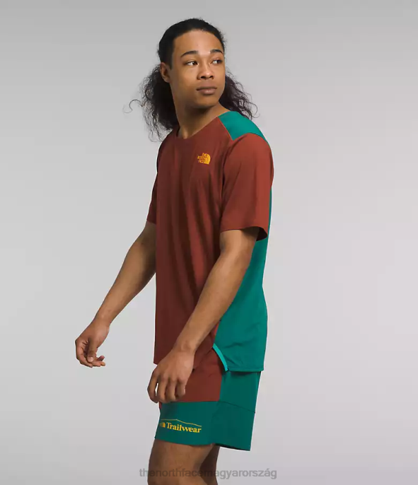 The North Face ruházat J2LJ883 pálinkás barna/erdei páfrány férfiak trailwear elveszett partján rövid ujjú