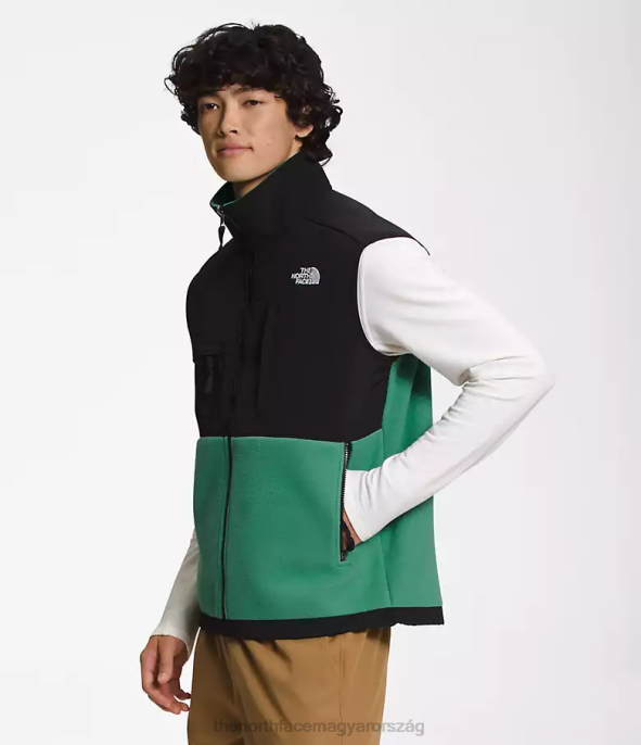 The North Face ruházat J2LJ601 mély fű zöld férfiak denali mellény