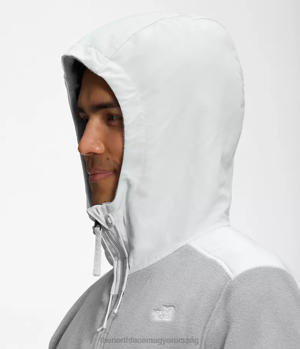 The North Face ruházat J2LJ831 szürke/ónszürke összeolvadás férfiak Alpine polartec 200 teljes cipzáras kapucnis kabát