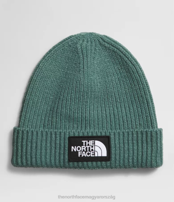 The North Face tartozék J2LJ763 sötét zsálya gyerekek tnf box logós mandzsetta sapka