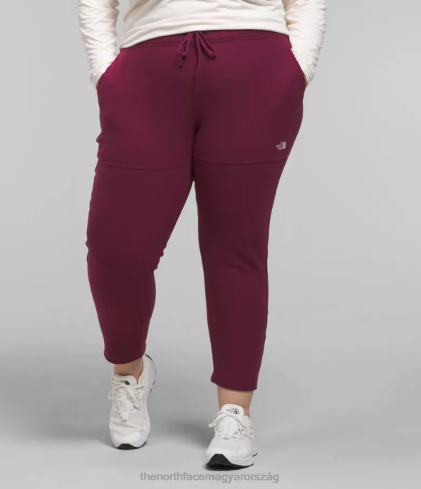 The North Face ruházat J2LJ251 boysenberry nők plusz alpesi polartec 100 nadrág